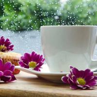 三个傻瓜英语观后感80字整理