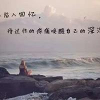 读霍去病的读后感汇编