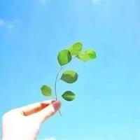 离开动物园的读后感汇聚