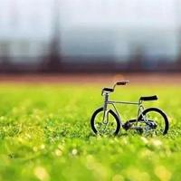 浅秋的早晨读后感集锦