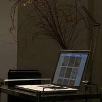 身后的眼睛读后感800汇总