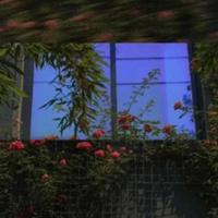 空天猎读后感作文1000集锦