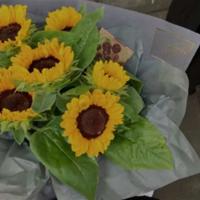 蜘蛛侠英文读后感精选