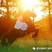 演唱会观后感1000集锦