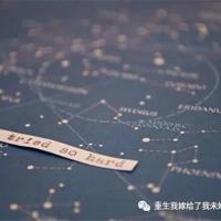 陈创野菊花读后感选录