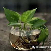 天空之城郭静版读后观后感整理