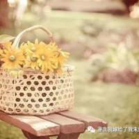 武汉加油400字读后感精练