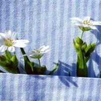 上学路上的读后感100字集锦