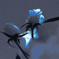 奇妙的假期读后感40字汇集