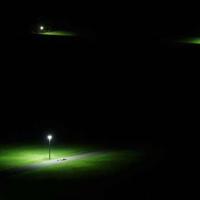 纹身狗读后感50字左右汇总