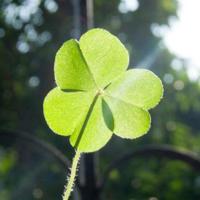 70字左右的读后感合集