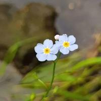 草原捕食者观后感收集