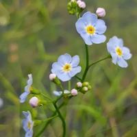 《举起手来》观后感精选