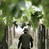 长征读后感2000字集锦