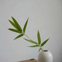 南征北战观后感的活动目标精练