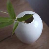 故乡的山梨李辉英读后感细选