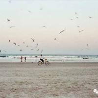 乐于助人的读后感和道理锦集