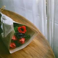 虎皮鹦鹉读后感400字锦集