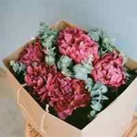 阅军观后感800字合计