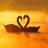 空军一号电影英文读后感锦集