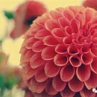 成长的书香读后感500字细选