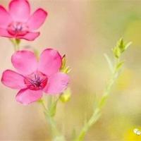 四百字观后感作文摘录