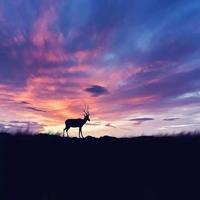 少年阿凡提400字读后感汇总