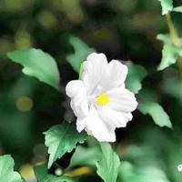 请回答1988观后感收集