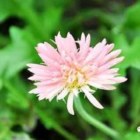 学会看病读后感7百字集合