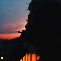 学习纪录片为了和平观后感合计