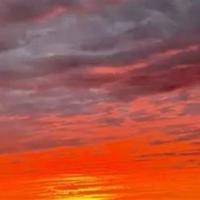 小海马找朋友读后感合计