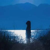 蓝狐狸读后感100字集合