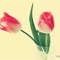 我是一个特种兵读后感细选