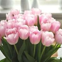 将进酒读后感四百字作文集合