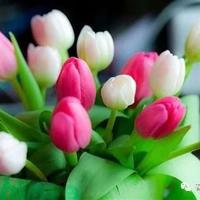 技能节读后感800字合计