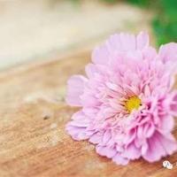 四年级下册数学读后感聚集