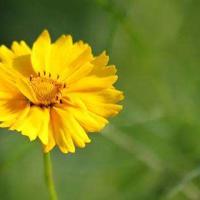 一年级安全教育观后感汇合