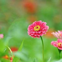 变形计高泽文王境泽读后感总汇