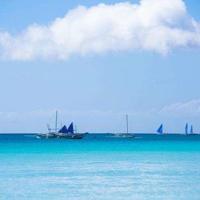 鹿柴这首诗读后感细选