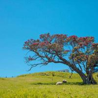 养家纸人读后感200字锦集