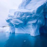 爱是一切的答案读后感汇聚