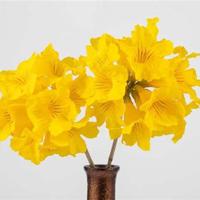 中学朗诵比赛读后感收集