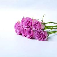 《森林报》读后感200字整理