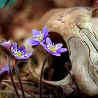 白日梦想家的英语观后感总汇