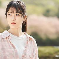 校园暴力征文读后感总汇