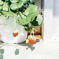 爵迹观后感100字汇编