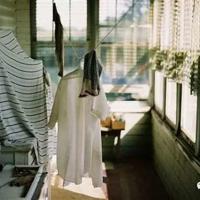 铜币与金币读后感汇编