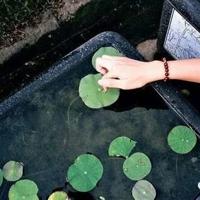 观看政法英模张保国观后感合计