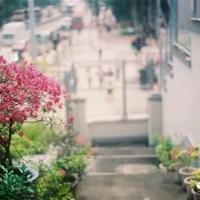 看完橘子洲烟花的观后感汇合