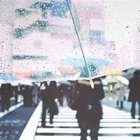 《彼岸花》读后感安妮宝贝锦集